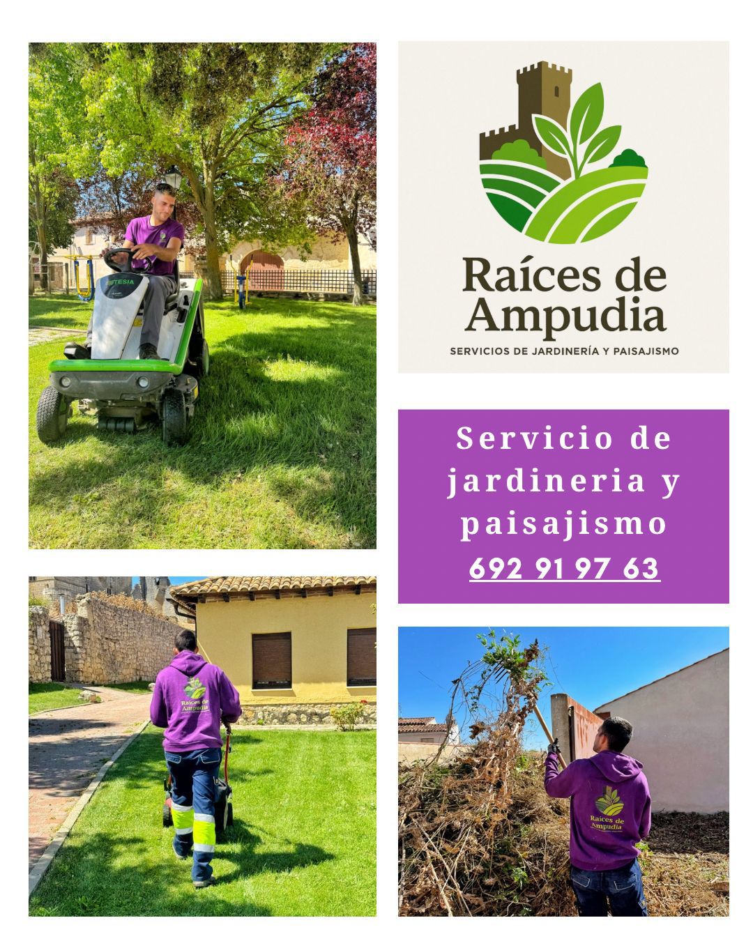 Servicio de jardinería y paisajismo: ejemplo de intervención