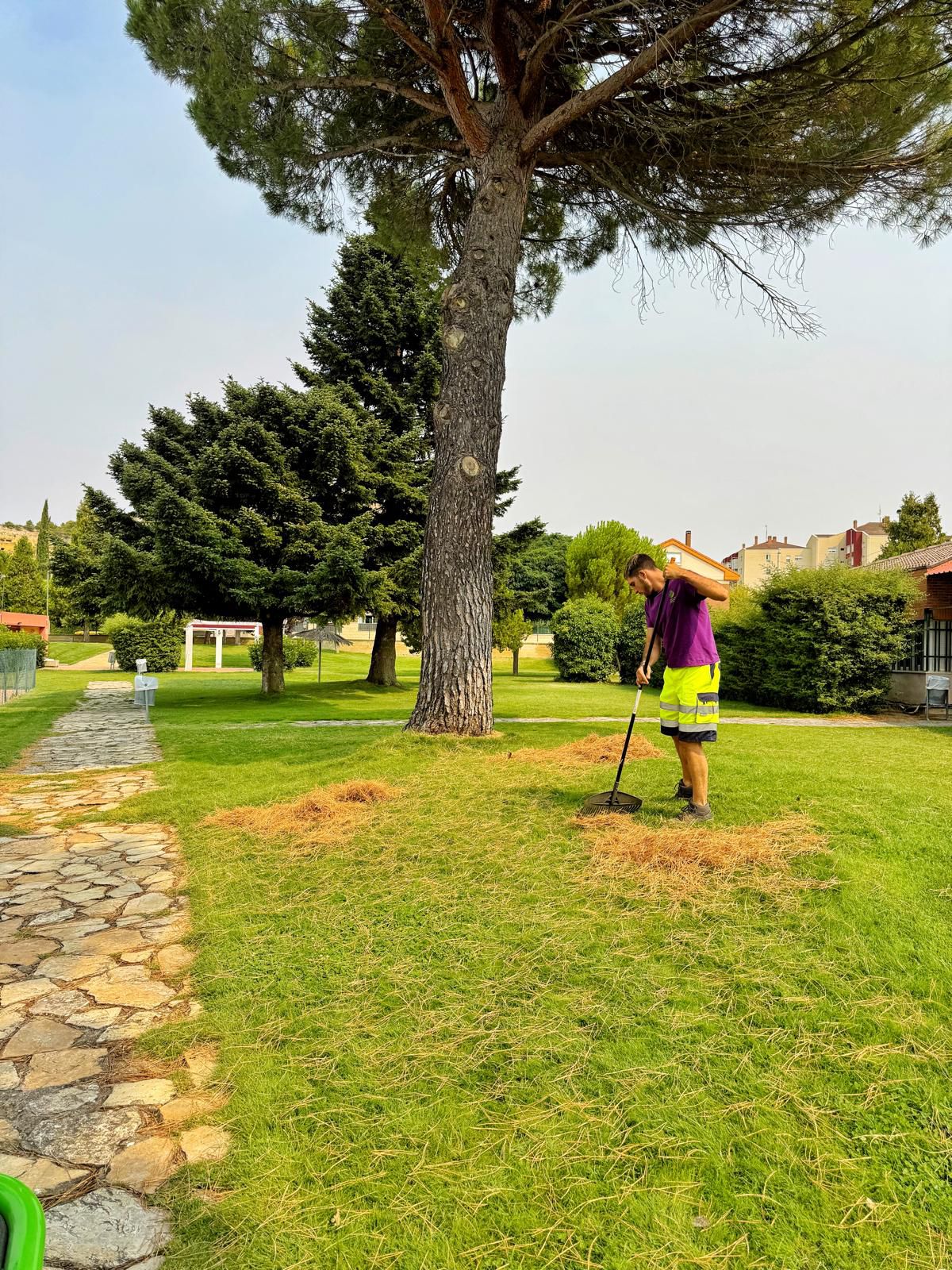 Riego optimizado en jardín