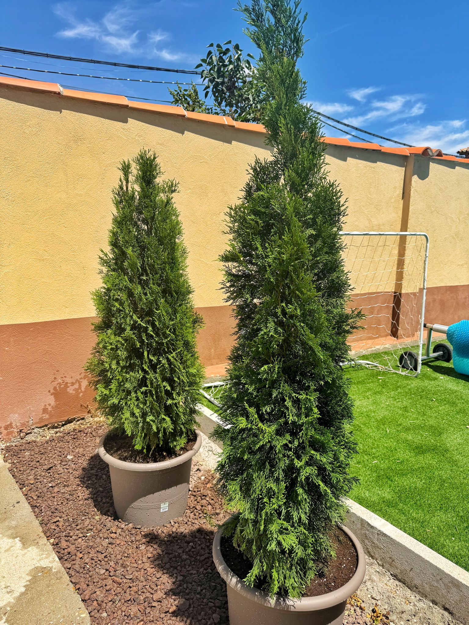 Diseño de parterres florales
